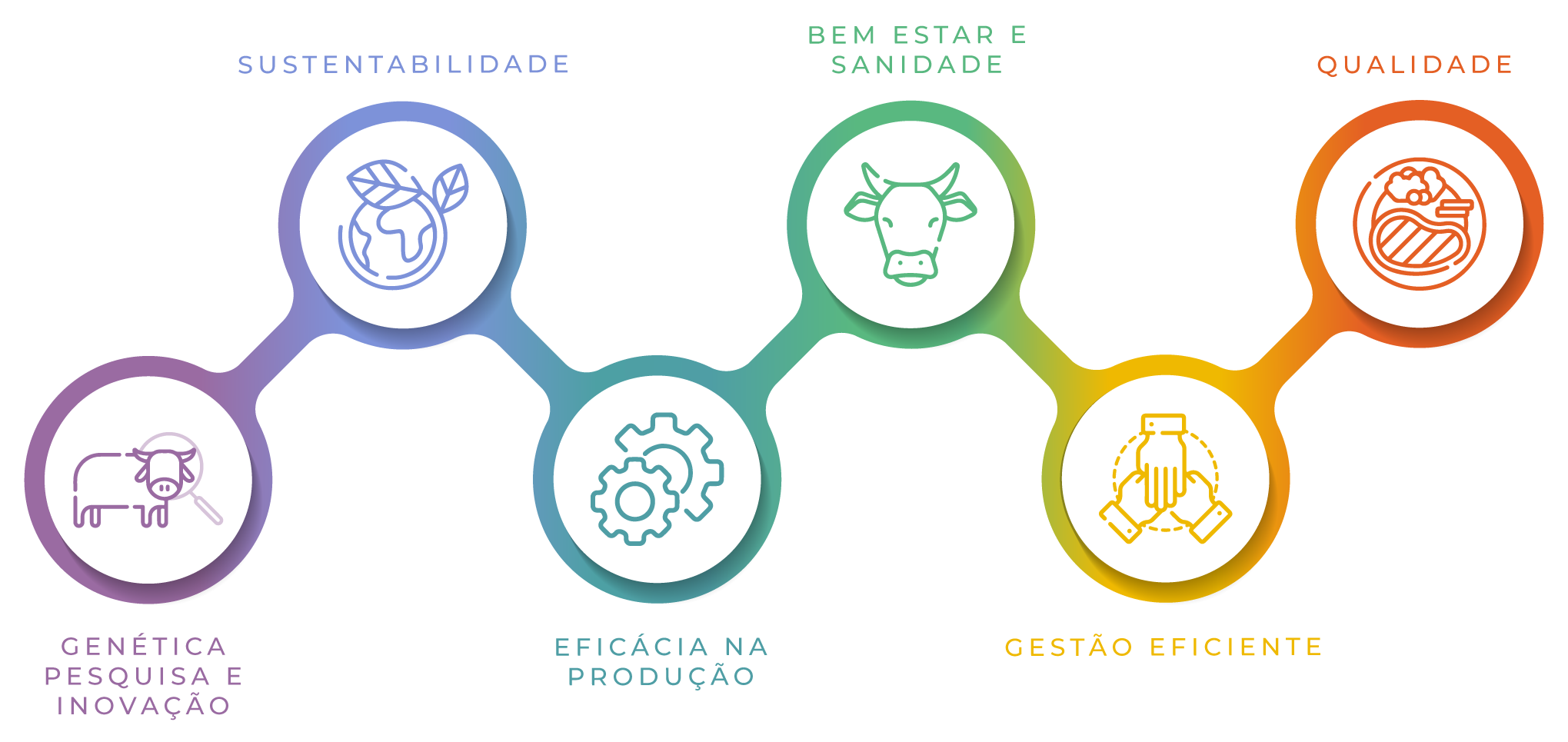 A Carne no Mato Grosso tem: Genética Pesquisa e Inovação, Sustentabilidade, Eficácia na Produção, Bem Estar e Sanidade, Gestão Eficiente que resutam em Qualidade. IMAC