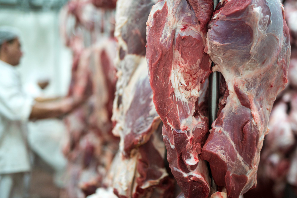 A exportação de carne bovina é uma das principais atividades econômicas do Brasil, representando uma parcela significativa do PIB. Leia mais.